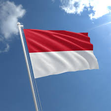 99flag.jpg